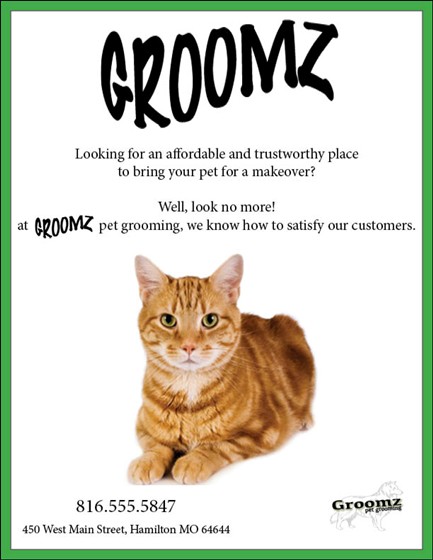 Desktop Publishing: GROOMZ Flyer